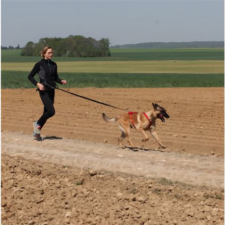 Imbracatura per cani KYFLIE OTIUM Rossa – T6 - immagine 3